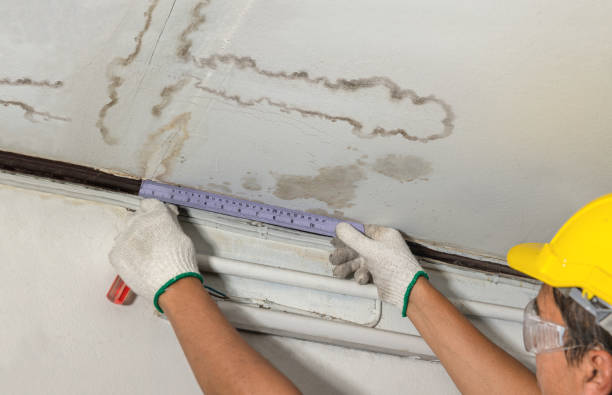 Reliable Water Damage contractor in New London, MN by Water Damage Irwin